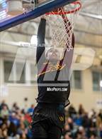 Photo from the gallery "O'Dea @ Curtis"