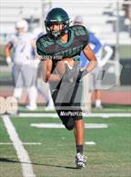Photo from the gallery "Wood @ Monterey Trail"