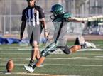 Photo from the gallery "Wood @ Monterey Trail"