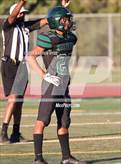 Photo from the gallery "Wood @ Monterey Trail"
