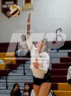 Photo from the gallery "Westfield @ Oakton"