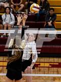 Photo from the gallery "Westfield @ Oakton"