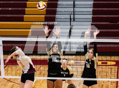 Thumbnail 2 in Westfield @ Oakton photogallery.