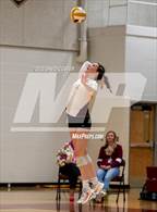 Photo from the gallery "Westfield @ Oakton"