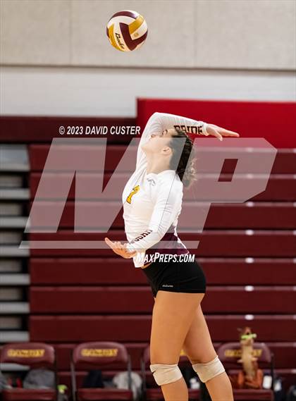 Thumbnail 3 in Westfield @ Oakton photogallery.