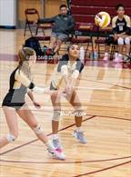 Photo from the gallery "Westfield @ Oakton"