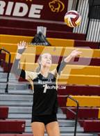 Photo from the gallery "Westfield @ Oakton"