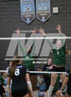 Photo from the gallery "Tigard @ Lakeridge"