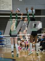 Photo from the gallery "Tigard @ Lakeridge"