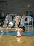 Photo from the gallery "Tigard @ Lakeridge"