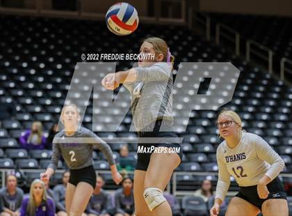 Thumbnail 3 in Benjamin vs. D'Hanis (UIL 1A Semifinal) photogallery.