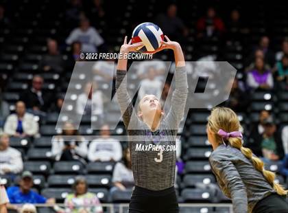 Thumbnail 2 in Benjamin vs. D'Hanis (UIL 1A Semifinal) photogallery.