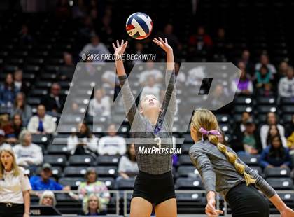 Thumbnail 3 in Benjamin vs. D'Hanis (UIL 1A Semifinal) photogallery.