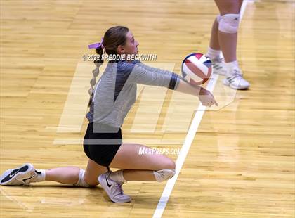 Thumbnail 2 in Benjamin vs. D'Hanis (UIL 1A Semifinal) photogallery.