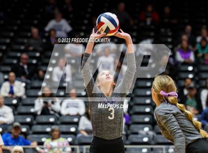 Thumbnail 1 in Benjamin vs. D'Hanis (UIL 1A Semifinal) photogallery.