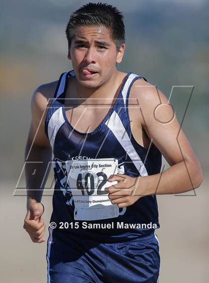 Thumbnail 2 in CIF LACS Boys Cross Country Championships photogallery.