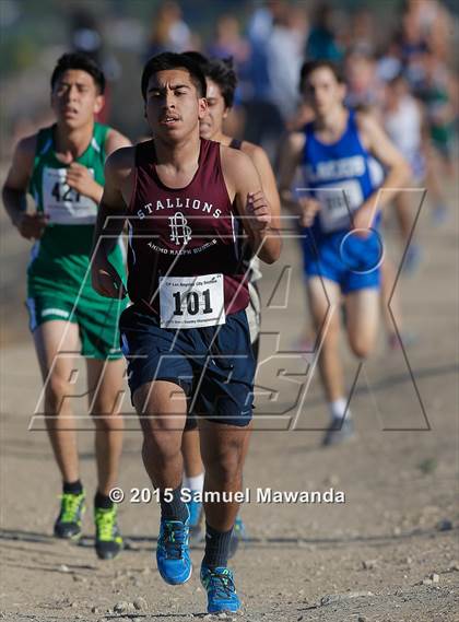 Thumbnail 1 in CIF LACS Boys Cross Country Championships photogallery.