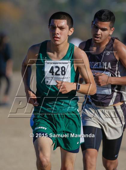 Thumbnail 2 in CIF LACS Boys Cross Country Championships photogallery.