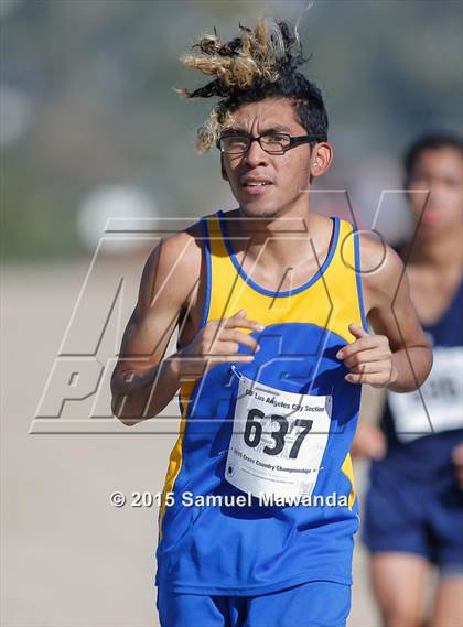 Thumbnail 3 in CIF LACS Boys Cross Country Championships photogallery.