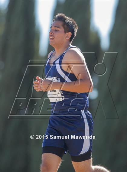 Thumbnail 2 in CIF LACS Boys Cross Country Championships photogallery.