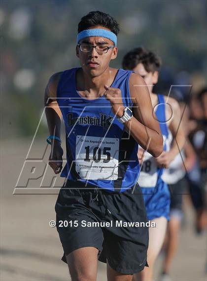 Thumbnail 2 in CIF LACS Boys Cross Country Championships photogallery.