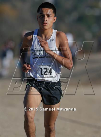 Thumbnail 1 in CIF LACS Boys Cross Country Championships photogallery.