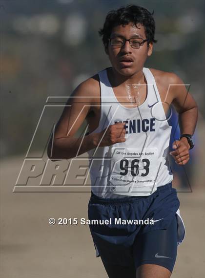 Thumbnail 2 in CIF LACS Boys Cross Country Championships photogallery.