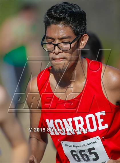 Thumbnail 2 in CIF LACS Boys Cross Country Championships photogallery.