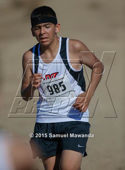 Thumbnail 3 in CIF LACS Boys Cross Country Championships photogallery.