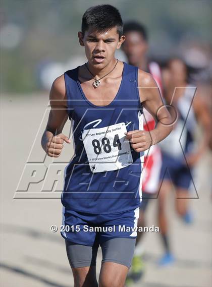 Thumbnail 2 in CIF LACS Boys Cross Country Championships photogallery.