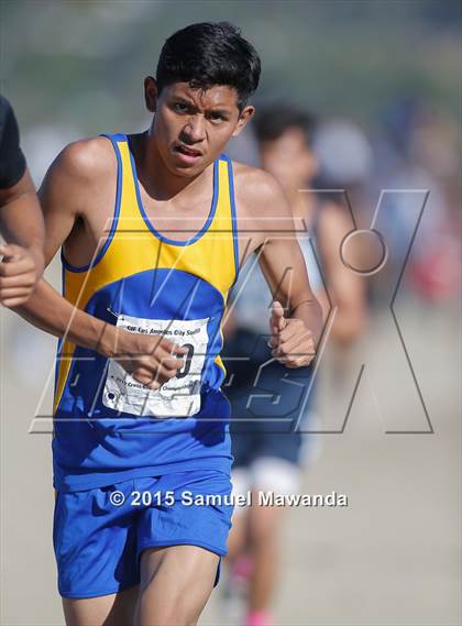 Thumbnail 2 in CIF LACS Boys Cross Country Championships photogallery.