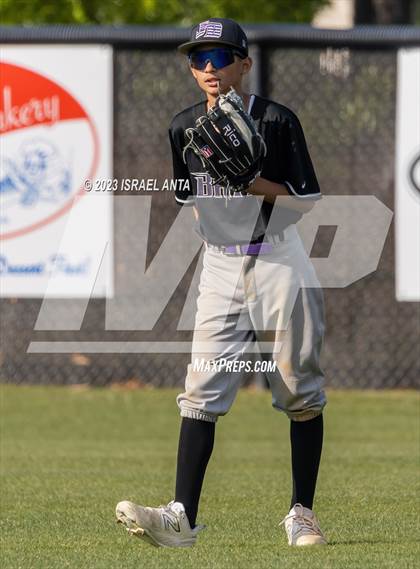 Thumbnail 2 in Jack Britt @ South View photogallery.