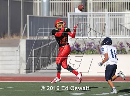 Thumbnail 3 in Dougherty Valley @ Berkeley photogallery.