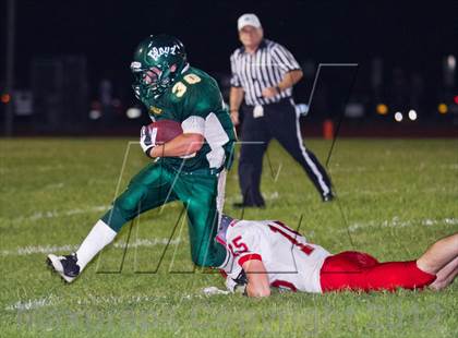 Thumbnail 2 in Connetquot @ William Floyd photogallery.