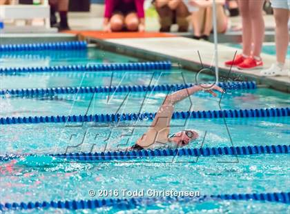 Thumbnail 3 in CHSAA 5A Swimming and Diving Championships photogallery.