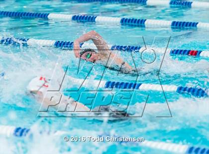 Thumbnail 1 in CHSAA 5A Swimming and Diving Championships photogallery.