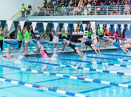 Thumbnail 3 in CHSAA 5A Swimming and Diving Championships photogallery.