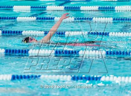 Thumbnail 1 in CHSAA 5A Swimming and Diving Championships photogallery.