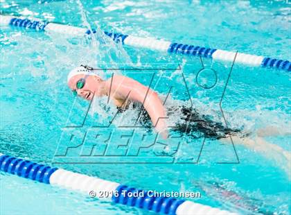 Thumbnail 1 in CHSAA 5A Swimming and Diving Championships photogallery.