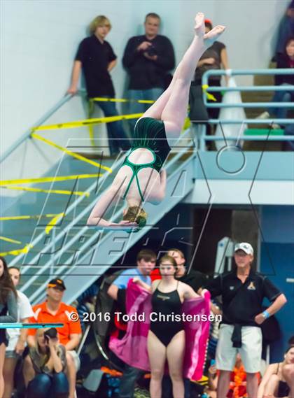Thumbnail 3 in CHSAA 5A Swimming and Diving Championships photogallery.