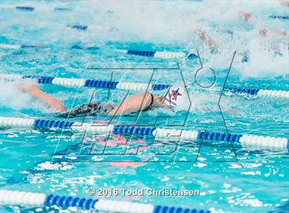 Thumbnail 3 in CHSAA 5A Swimming and Diving Championships photogallery.