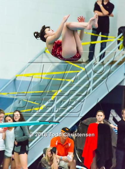 Thumbnail 1 in CHSAA 5A Swimming and Diving Championships photogallery.