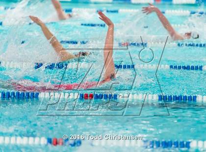 Thumbnail 1 in CHSAA 5A Swimming and Diving Championships photogallery.