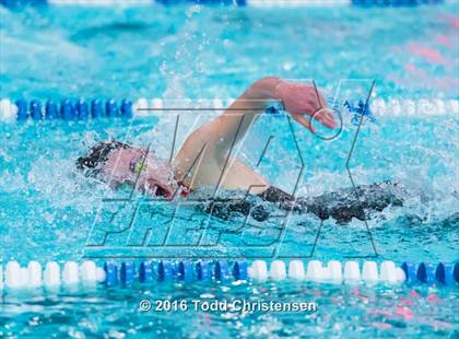 Thumbnail 1 in CHSAA 5A Swimming and Diving Championships photogallery.