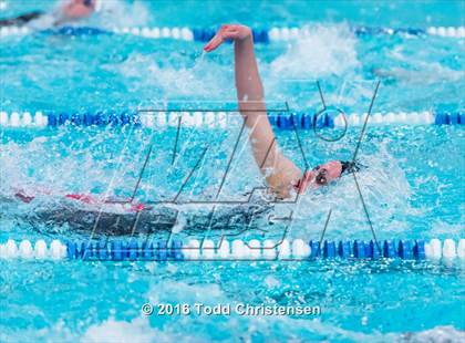 Thumbnail 1 in CHSAA 5A Swimming and Diving Championships photogallery.