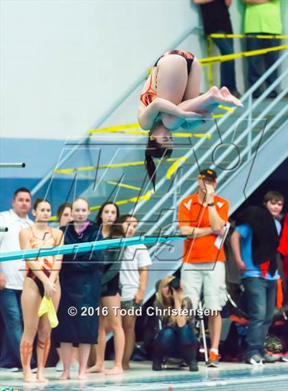Thumbnail 3 in CHSAA 5A Swimming and Diving Championships photogallery.