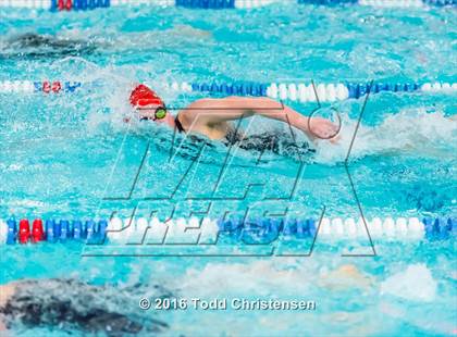 Thumbnail 1 in CHSAA 5A Swimming and Diving Championships photogallery.