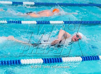 Thumbnail 3 in CHSAA 5A Swimming and Diving Championships photogallery.