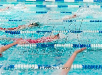 Thumbnail 3 in CHSAA 5A Swimming and Diving Championships photogallery.