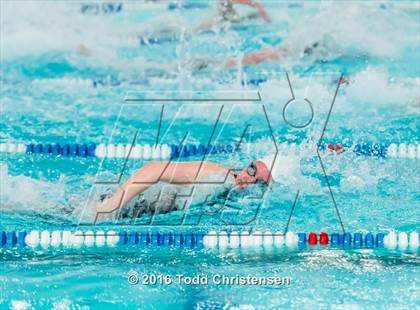 Thumbnail 2 in CHSAA 5A Swimming and Diving Championships photogallery.